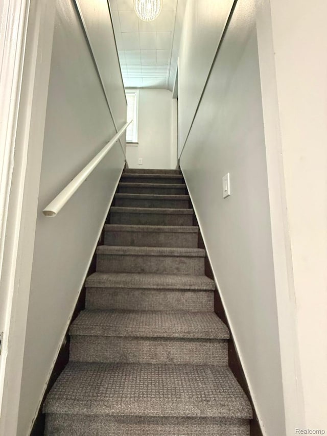6505 Brace St, Detroit, MI 48228 - photo 10