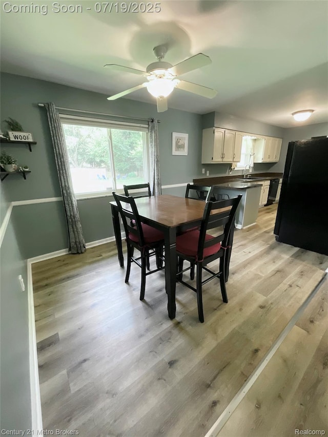 5363 Irish Rd, Grand Blanc, MI 48439 - dining area featuring light wood-style floors and a ceiling fan