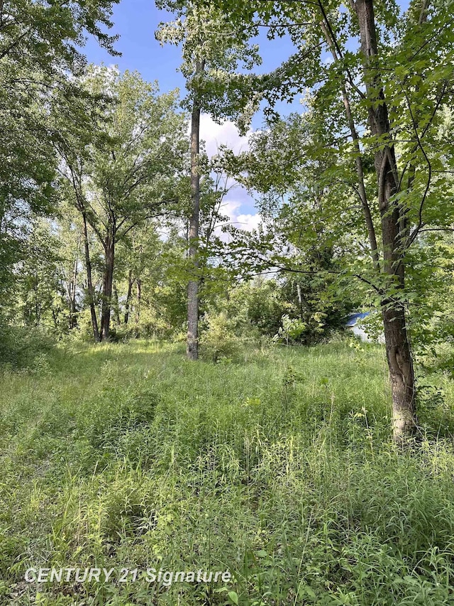 4020 Wieman Rd, Beaverton, MI 48612 - photo 2