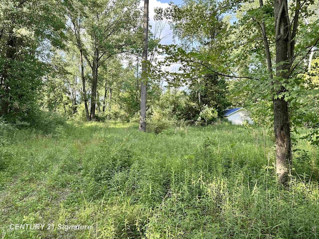 4020 Wieman Rd, Beaverton, MI 48612 - photo 1