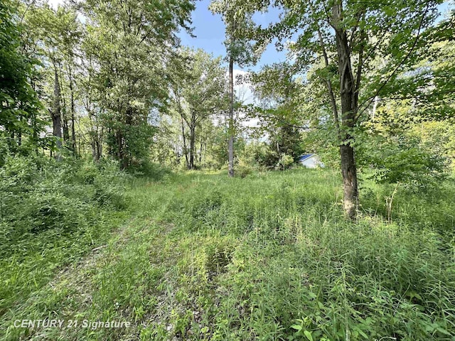 4020 Wieman Rd, Beaverton, MI 48612 - photo 3