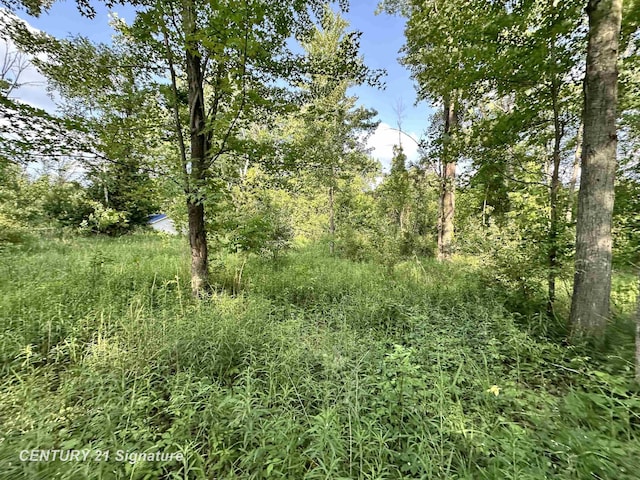 4020 Wieman Rd, Beaverton, MI 48612 - photo 4