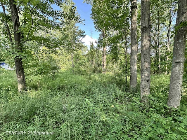4020 Wieman Rd, Beaverton, MI 48612 - photo 5