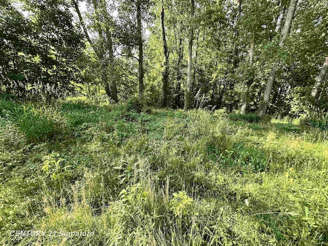4020 Wieman Rd, Beaverton, MI 48612 - photo 10