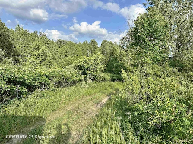 4020 Wieman Rd, Beaverton, MI 48612 - photo 13