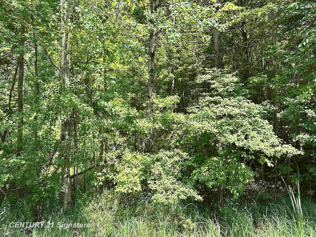 VL Pinconning Rd, Beaverton, MI 48612 - photo 1