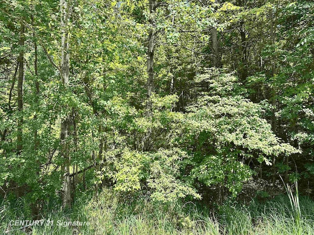 VL Pinconning Rd, Beaverton, MI 48612 - photo 1