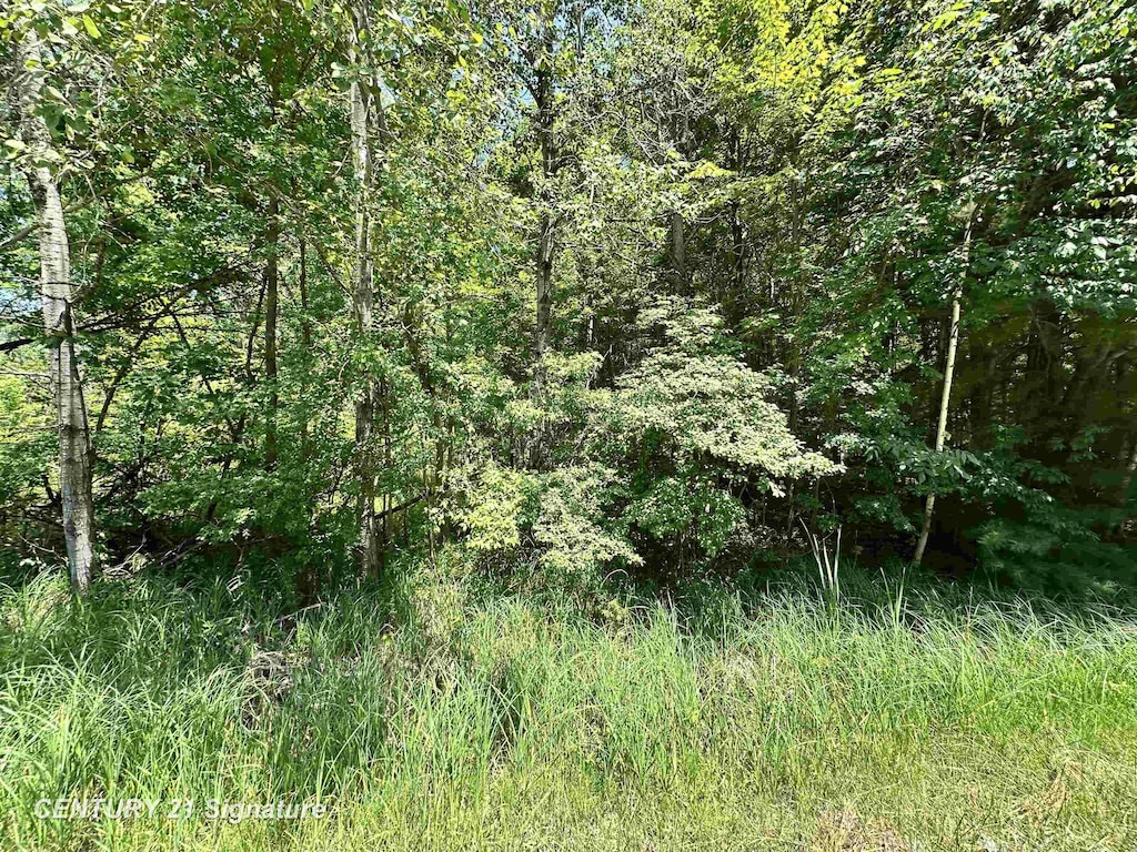 VL Pinconning Rd, Beaverton, MI 48612 - photo 2