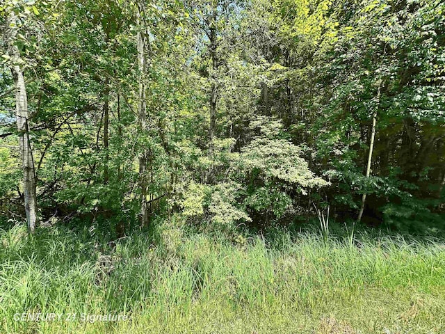VL Pinconning Rd, Beaverton, MI 48612 - photo 2