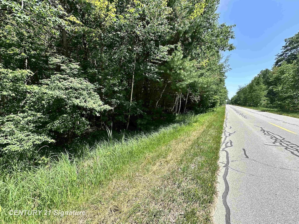 VL Pinconning Rd, Beaverton, MI 48612 - photo 3