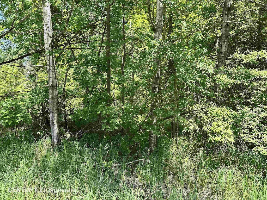 VL Pinconning Rd, Beaverton, MI 48612 - photo 4