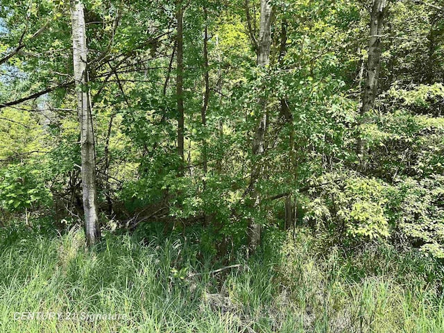 VL Pinconning Rd, Beaverton, MI 48612 - photo 4