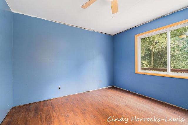 808 Riverside St, Belding, MI 48809 - photo 4