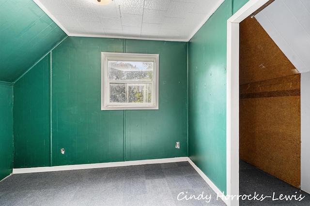 808 Riverside St, Belding, MI 48809 - photo 12