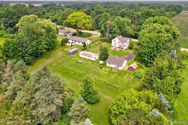 6814 Curtis Rd, Bridgeport, MI 48722 - photo 49
