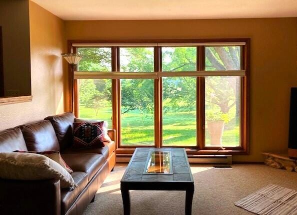 18354 Mount Zion Rd, Galien, MI 49113 - view of carpeted living room