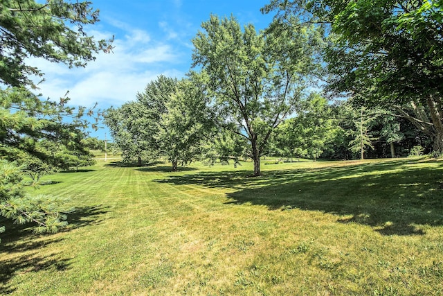 18354 Mount Zion Rd, Galien, MI 49113 - view of green lawn