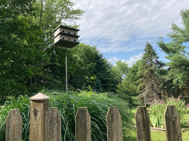 18354 Mount Zion Rd, Galien, MI 49113 - view of yard