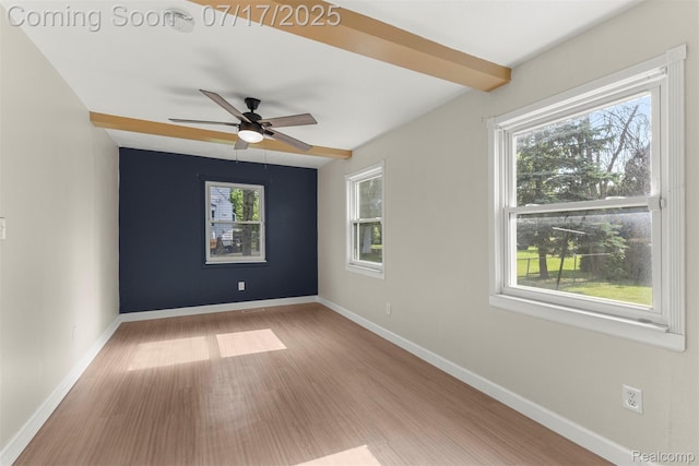 8916 Deering St, Livonia, MI 48150 - photo 26