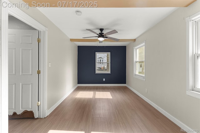 8916 Deering St, Livonia, MI 48150 - photo 25
