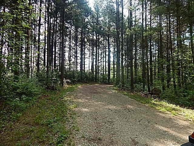 8475 Gurd Rd, Dowling, MI 49050 - view of street featuring a view of trees
