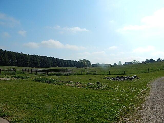 8475 Gurd Rd, Dowling, MI 49050 - view of yard featuring a view of countryside and a wooded view