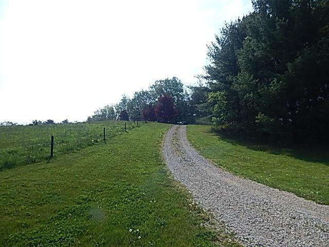 8475 Gurd Rd, Dowling, MI 49050 - view of dirt / gravel road featuring a rural view