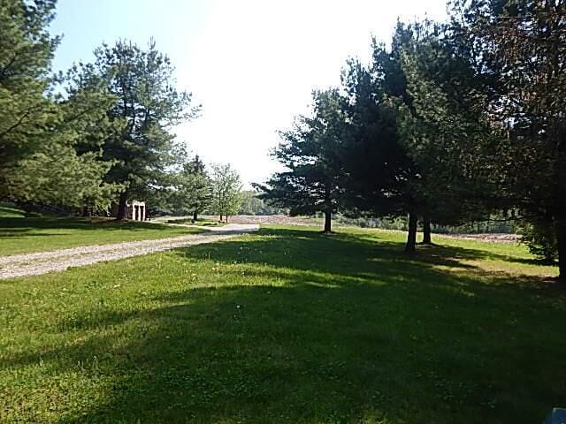 8475 Gurd Rd, Dowling, MI 49050 - view of grassy yard