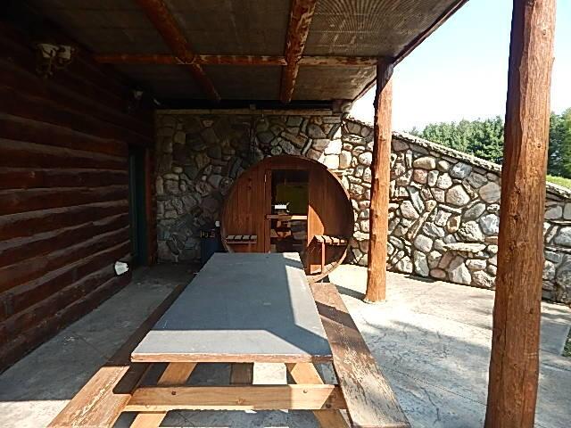 8475 Gurd Rd, Dowling, MI 49050 - view of patio