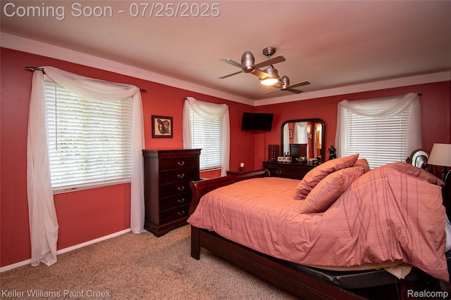 16380 Erin, Fraser, MI 48026 - photo 28