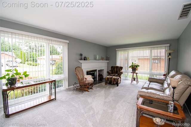 16380 Erin, Fraser, MI 48026 - photo 10