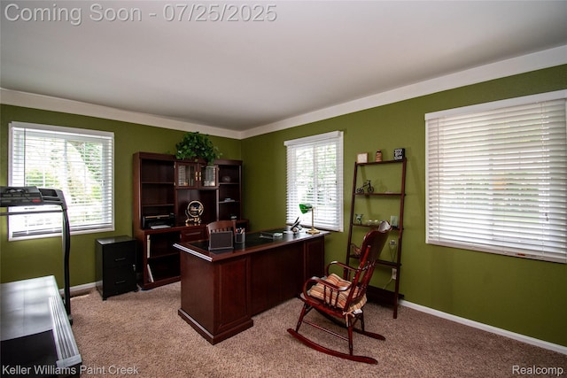 16380 Erin, Fraser, MI 48026 - photo 35