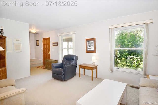 733 Highland Ave, Clawson, MI 48017 - photo 16