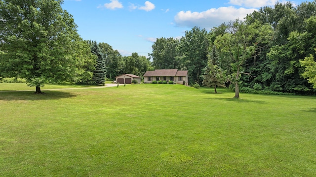 7899 Benn Rd, Parma, MI 49269 - photo 55