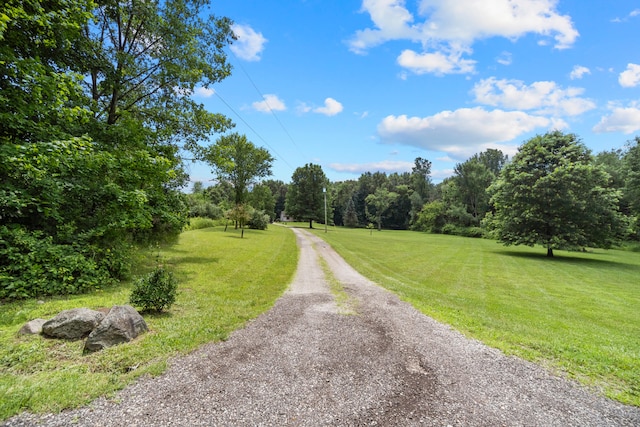 7899 Benn Rd, Parma, MI 49269 - photo 58