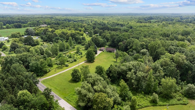 7899 Benn Rd, Parma, MI 49269 - photo 59