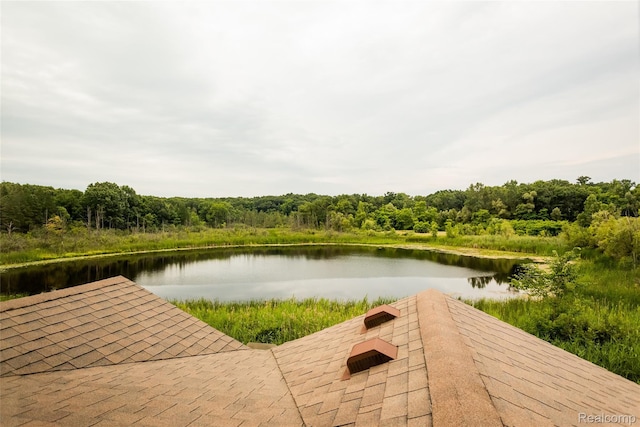 9050 Lake Dominion Dr, Brighton, MI 48114 - photo 60