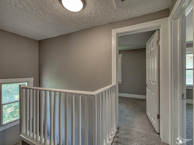1105 Clinton Rd, Jackson, MI 49202 - photo 12