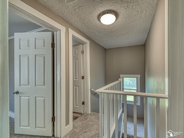 1105 Clinton Rd, Jackson, MI 49202 - photo 13