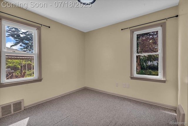 24429 Notre Dame St, Dearborn, MI 48124 - carpeted empty room featuring healthy amount of natural light