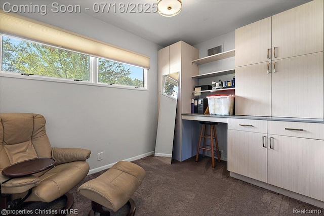 304 Huntley Ave, Clawson, MI 48017 - photo 26