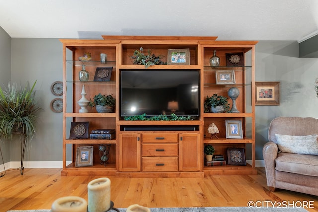 3981 Acadia Dr, Hudsonville, MI 49426 - living room with light wood-type flooring and baseboards