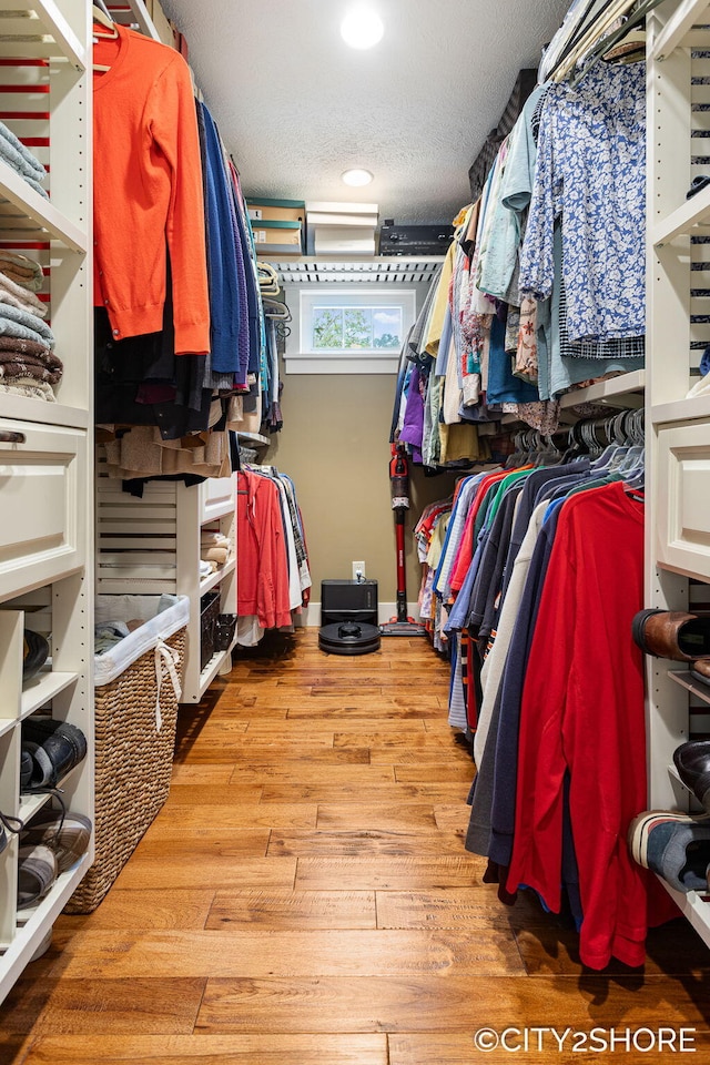 3981 Acadia Dr, Hudsonville, MI 49426 - spacious closet with wood finished floors