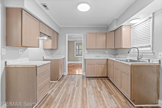 619 Frank St, Flint, MI 48504 - kitchen with light wood finished floors, light countertops, ornamental molding, and under cabinet range hood