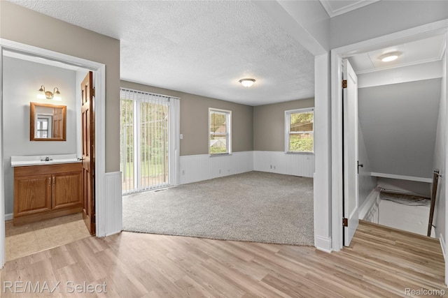 619 Frank St, Flint, MI 48504 - spare room with a wainscoted wall, light wood finished floors, healthy amount of natural light, and a textured ceiling