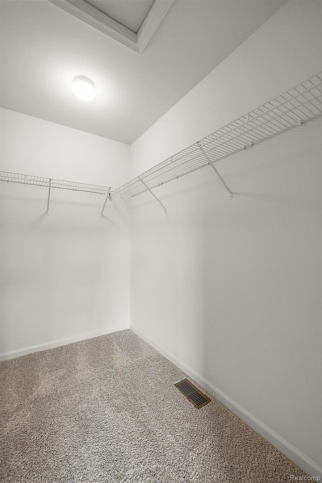 21008 Campolina Dr, South Lyon, MI 48178 - view of spacious closet