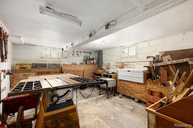 1615 W Genesee St, Lapeer, MI 48446 - misc room with concrete flooring, a workshop area, and electric panel