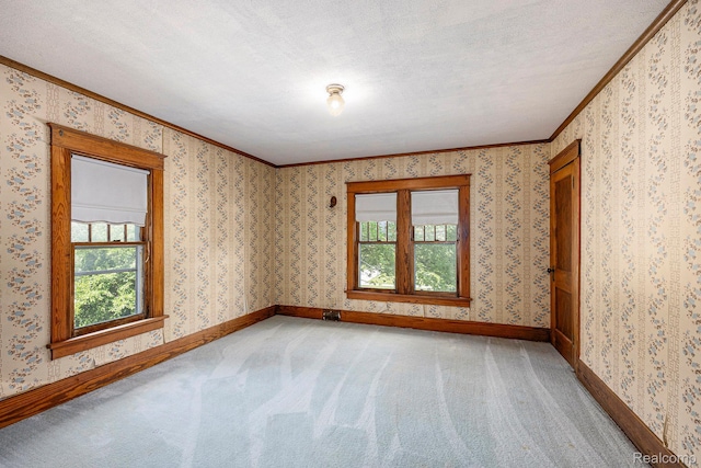 1615 W Genesee St, Lapeer, MI 48446 - empty room featuring ornamental molding, healthy amount of natural light, light carpet, and a textured ceiling