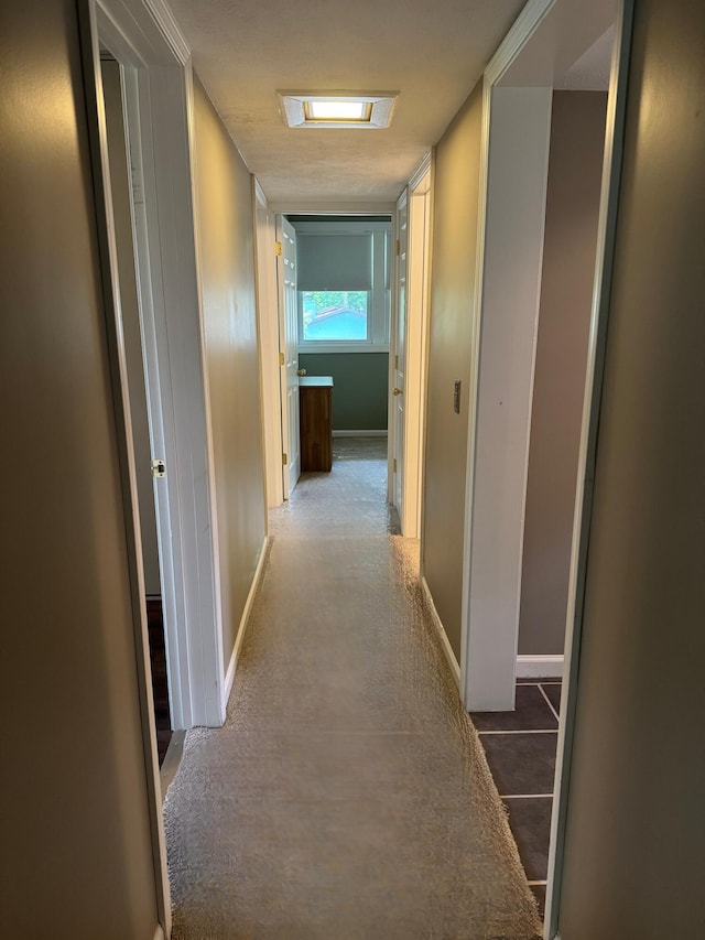 429 Sprague Ave, Kalamazoo, MI 49006 - photo 9