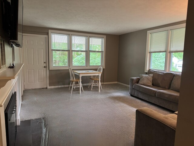 429 Sprague Ave, Kalamazoo, MI 49006 - photo 5